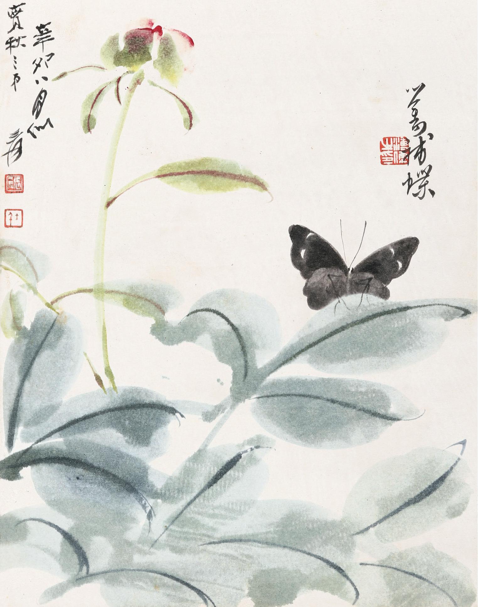 張大千溥儒 1951年作 花蝶圖 鏡心 設色紙本